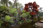 Australians win at Chelsea Flower Show 2013