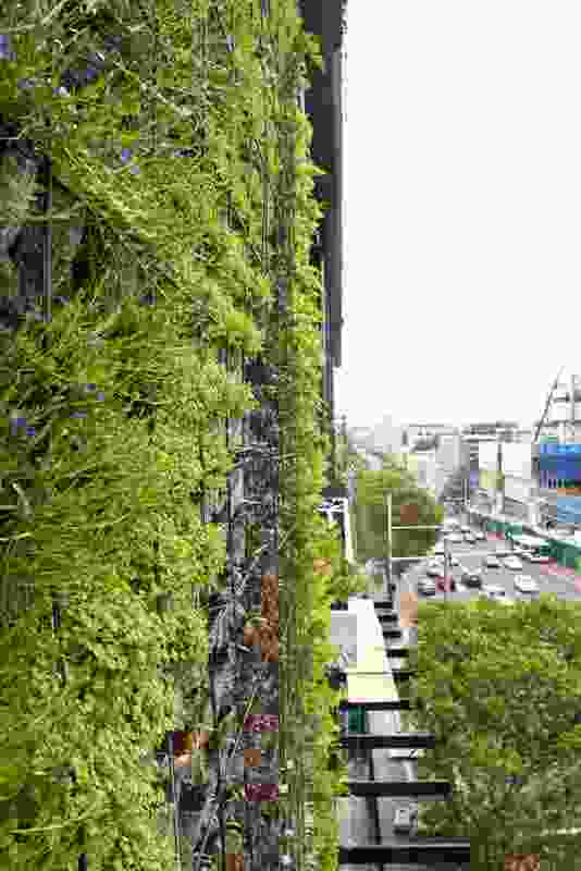 Vertical garden by Patrick Blanc at One Central Park, Sydney.