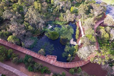 The muted earthy tones and winding form of the walk soften both its visual and physical presence within the ecologically significant Jock Marshall Reserve.