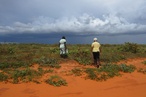 2012 AILA National Landscape Architecture Award: Planning