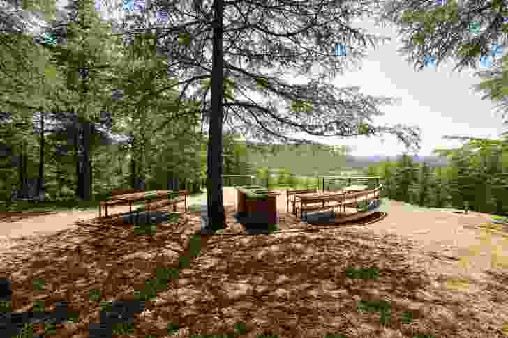 A picnic and barbecue area within the Himalayan cedar forest.