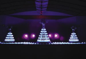 Glow-in-the-dark funeral jelly at the San Francisco Museum of Modern Art.