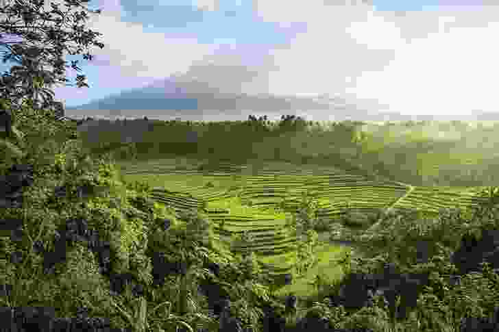 On the island of Bali, Indonesia, the Mahagiri rice terraces form part of a unique 1,000 year-old agrarian system known as the subak.