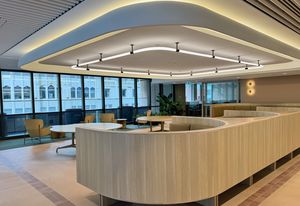 Seamless Acoustic Treatment from Ecko Solutions