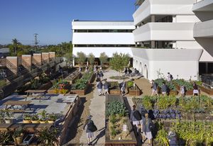 Mount Alvernia College, Kedron by Lat27 and m3architecture.