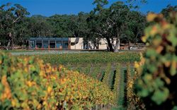 The site, in a stand of remnant manna gums
and stringy-barks, affords views across the vineyard and
surrounding farmland from the east to the north-west.