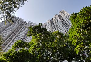 The 2019 Urban Tropicality Conference, running from 5 to 8 December at the University of Queensland, brings together leaders in the fields of architecture and design from across the world.