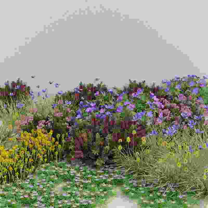 3D models of native plant species can be constructed using specialized software and images taken on site.