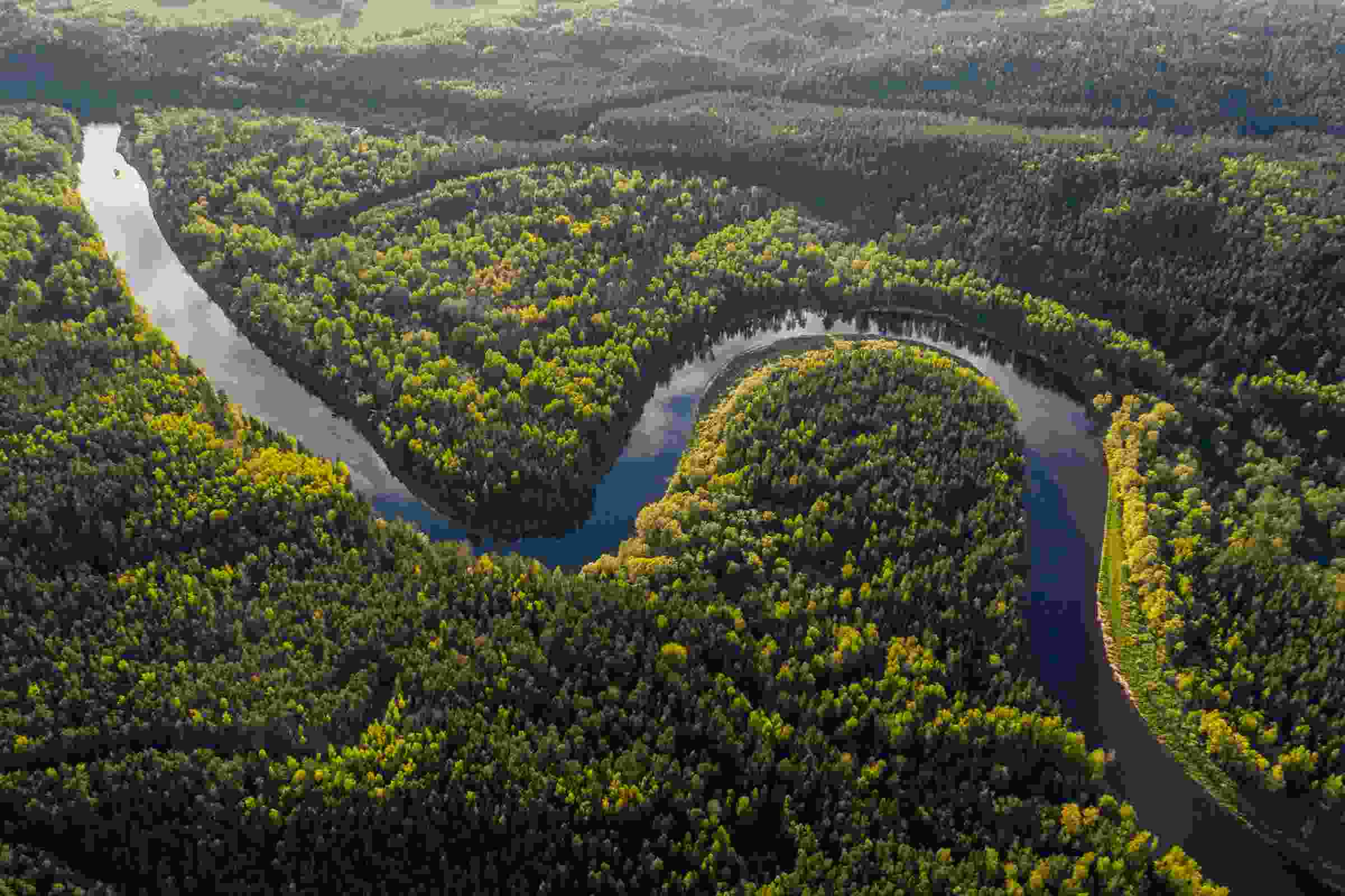 Indigenous knowledge and the persistence of the ‘wilderness’ myth ...