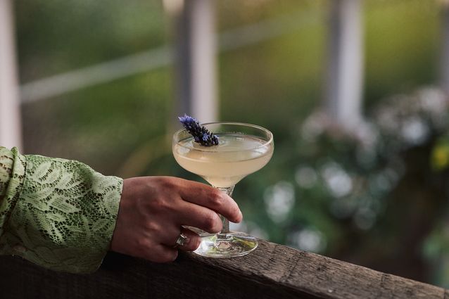 Sunset Cocktails at Walsh Street