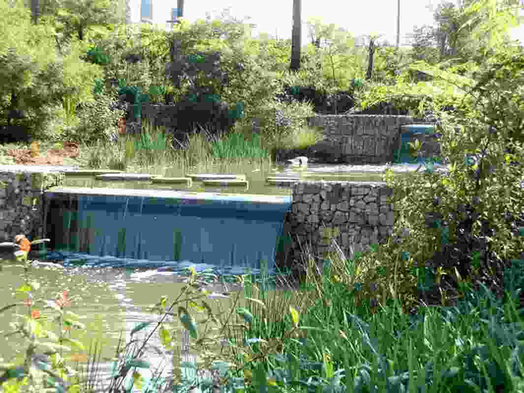 Sydney Park Water Re-Use Project by Turf Design Studio and Environmental Partnership with Alluvium, Turpin + Crawford Studio and Dragonfly Environmental.