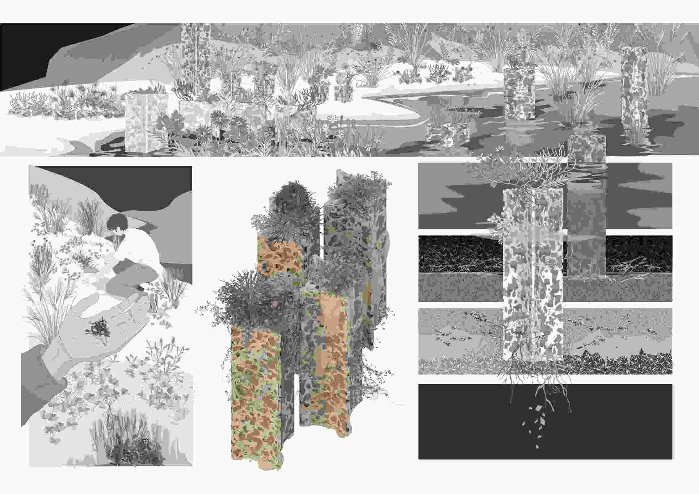 2025 Landscape Architecture Australia Student Prize (Winner ...