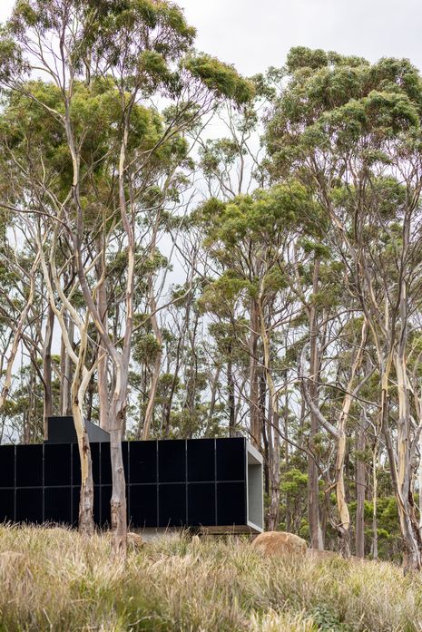 Chroma Tunnel – Room 11 Architects