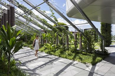 Lady Cilento Children's Hospital (roof gardens) by Conrad Gargett.