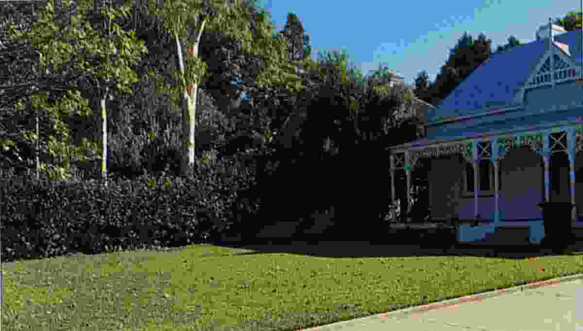 George Seddon's first garden at 39 Victoria Avenue, Claremont, WA, 1994. Photograph taken looking across the neighbour's bare lawn.