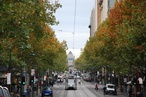 Free global street design guide launched