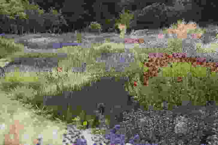 A garden in western Ireland, by Piet Oudolf.