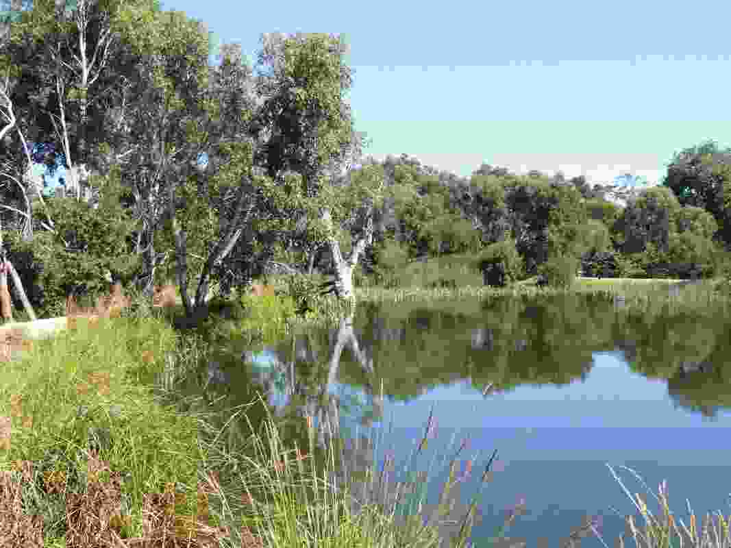 North Gardens Sculpture Park Landscape Master Plan, Ballarat by Mandy Nicholson (Tharangalk Art), Glenn Romanis, Isobel Paton (Basalt: Art, Landscape, Sculpture) and David S. Jones (Deakin University) won the Award of Excellence in the Cultural Heritage category.