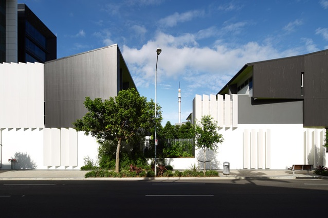 The landscape unifies six very different architectural forms across a city block in which landscape delightfully defines form, function and character.
