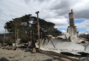 Institute calls for donations for bushfire rebuilding effort