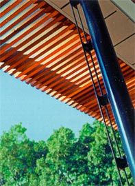  Details of the new pavilion roof with its slender structure and edges of red cedar battens. 