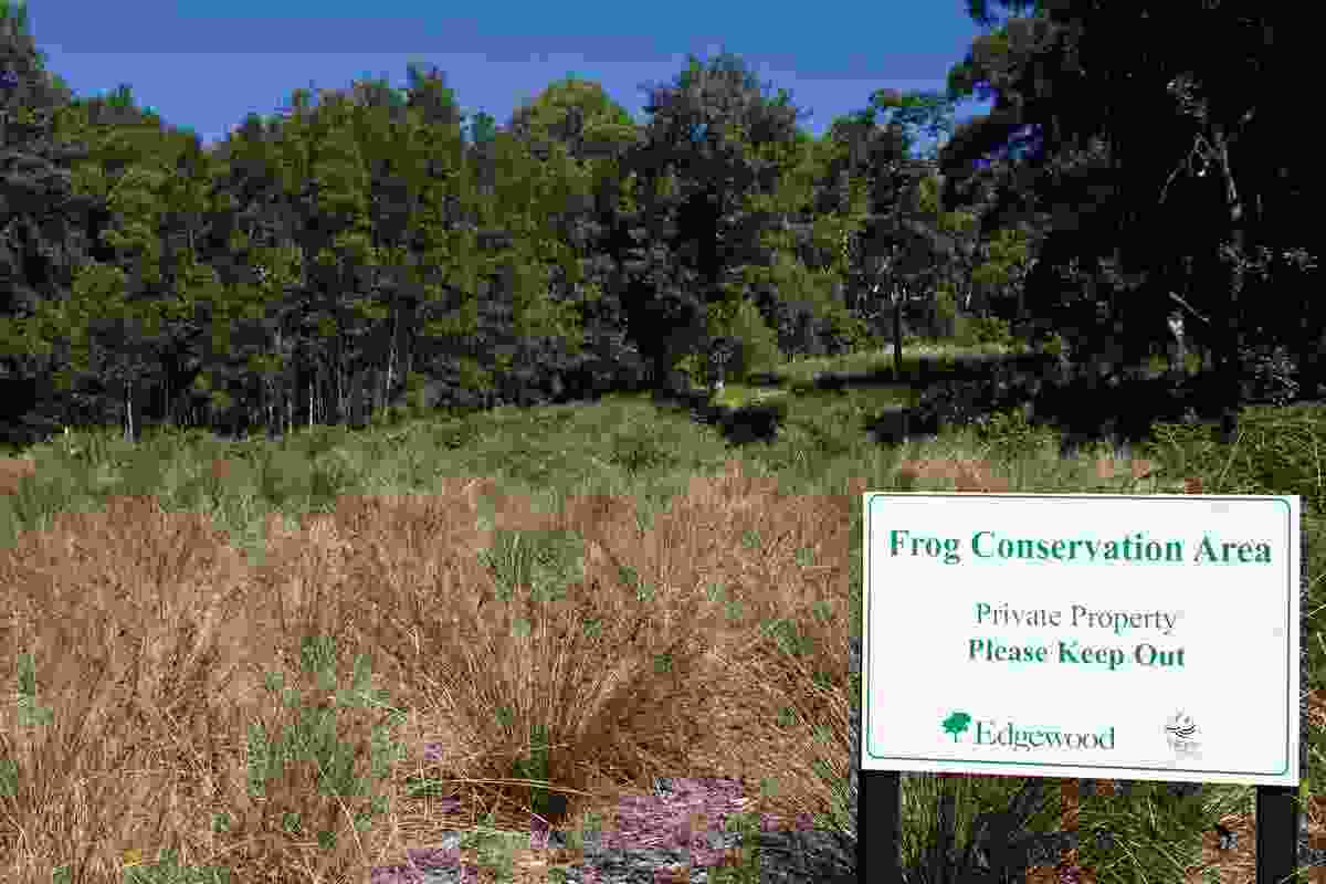 Frog conservation area, Edgewood Estate.