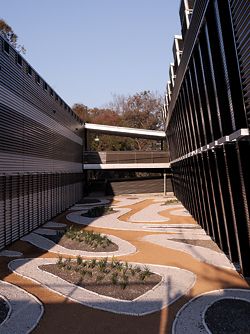 Looking into each of the four courtyards, with landscape design by Site Office. All work with contrast, using different patterns and colours.