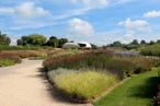 Hortus conclusus: The Oudolf Field