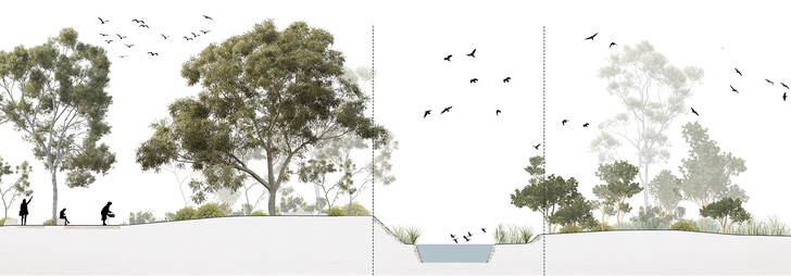 A cross-section through the “conservation island” from the masterplan for Elsternwick Nature Park Reserve shows a narrow water barrier with ha-ha walls.