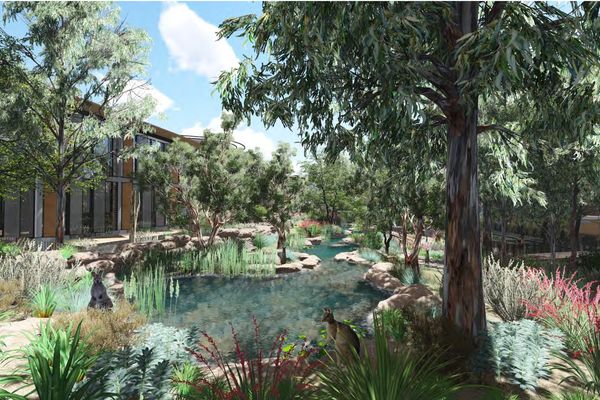 Proposed Taronga Wildlife Retreat by Cox Architecture and Green and Dale Associates.