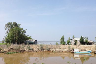 Water-inundated rice fields in An Giang province, Vietnam. The province is located in the Mekong Delta, in the south-western part of the country.