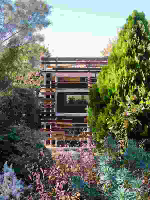 Secret Garden House by CCJ Architects.