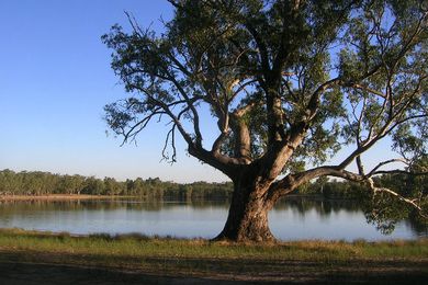 Lake Ratzcastle, south-west Wimmera.