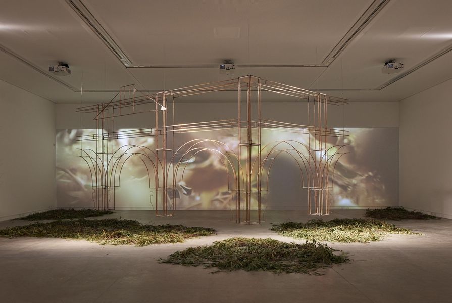 Creative director sought for Australia’s 2025 Venice Biennale