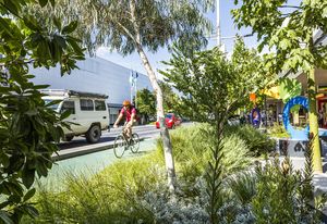 Malop Street Green Spine by Outlines Landscape Architecture