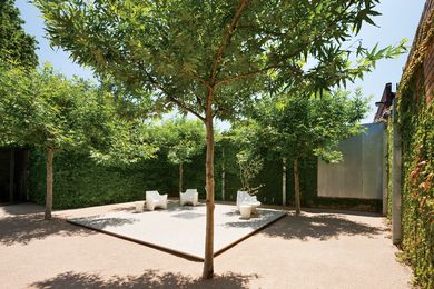 A crisp plane of paving is positioned within a square of four plane trees.