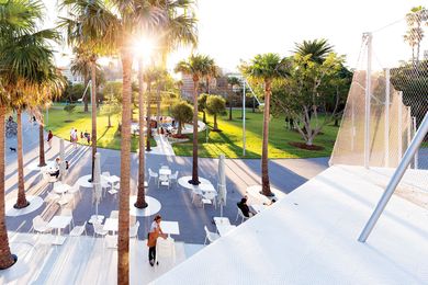 A composition of Washington palms perforates the paved area at the entrance to the pool.