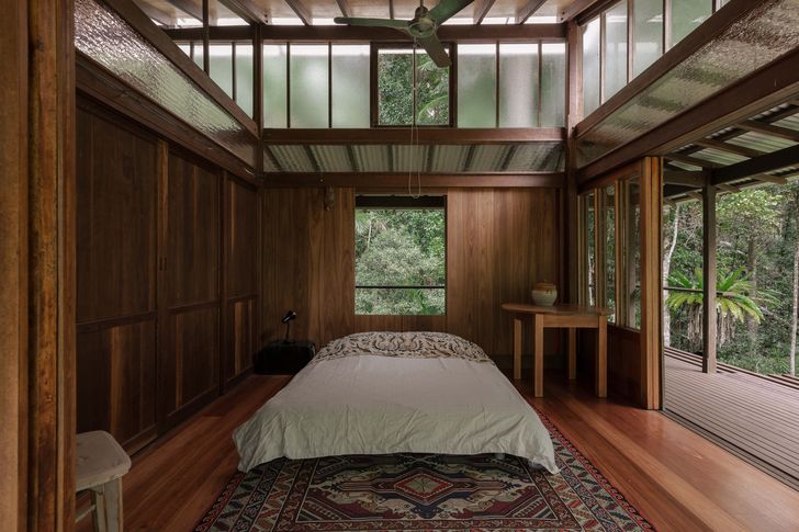 Clerestorey windows admit light and filtered views of the tree canopy.