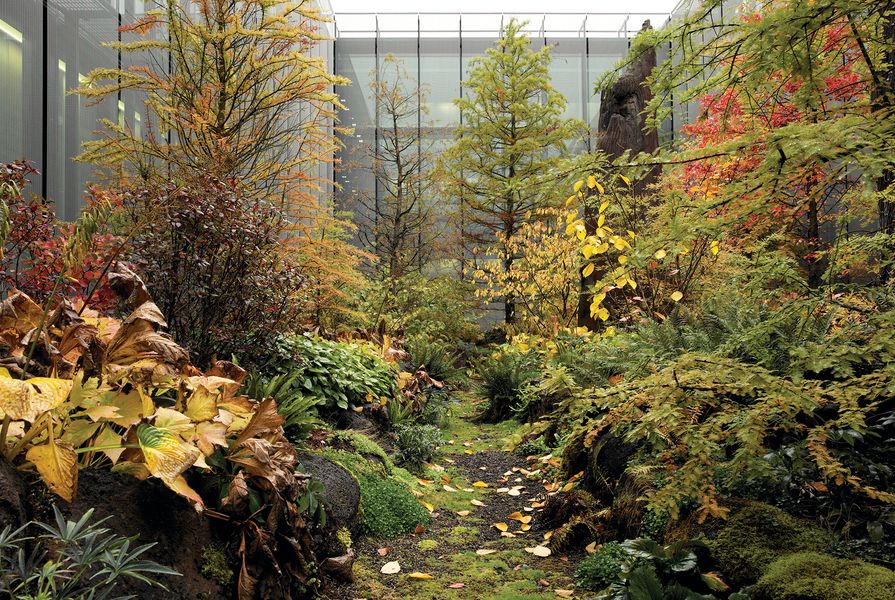 Autumn at Home of FIFA: planting registers ongoing growth, seasonality and change.