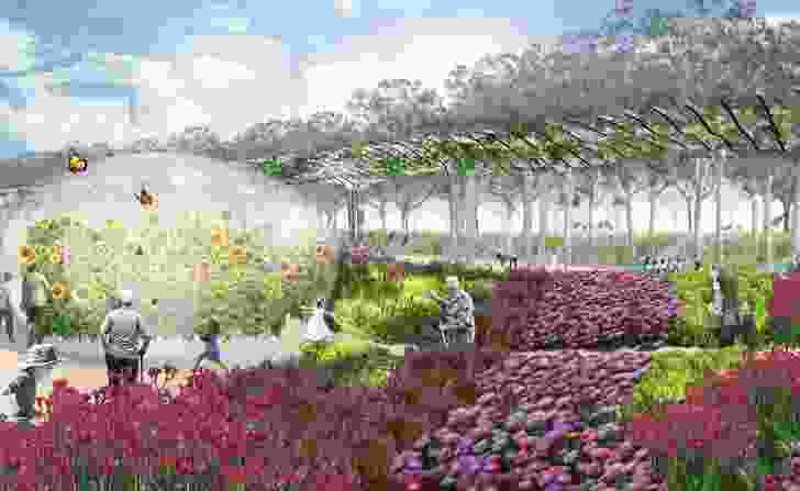 The mosaic garden will reflect native South Australian flora.