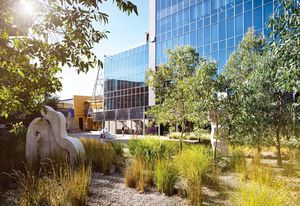 In the central rain garden native sedges and grasses grow from a bed of local crushed granite. Artwork: Weeping Women by Sanné Mestrom, 2014 (sculptures).