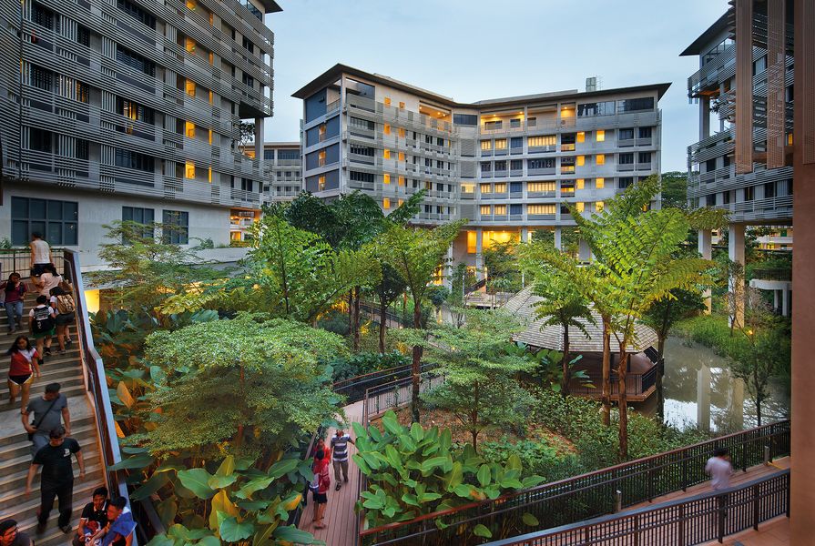 STX Landscape Architects’ design for Nanyang Technological University’s Pioneer and Crescent Halls creates a natural environment for learning through the creation of an immersive wetland at the heart of the student residence.