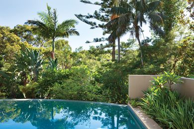 Lush tropical plantings at the rear of the garden are reflected on the pool’s surface.