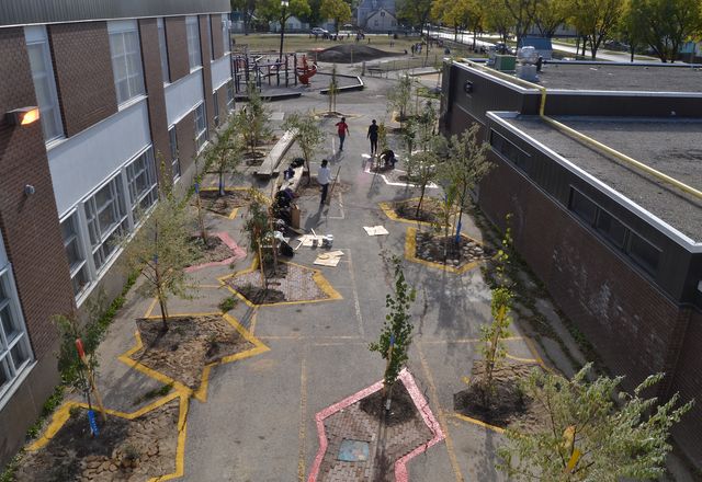 Folly Forest: Straub Thurmayr transformed a sparse asphalt schoolyard in Winnipeg, Canada into a stimulating landscape for children by using low-cost measures that included perforating the asphalt, planting trees and sowing native grasses.