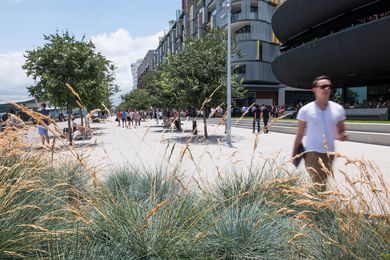 Barangaroo South Public Domain by Aspect and Oculus.