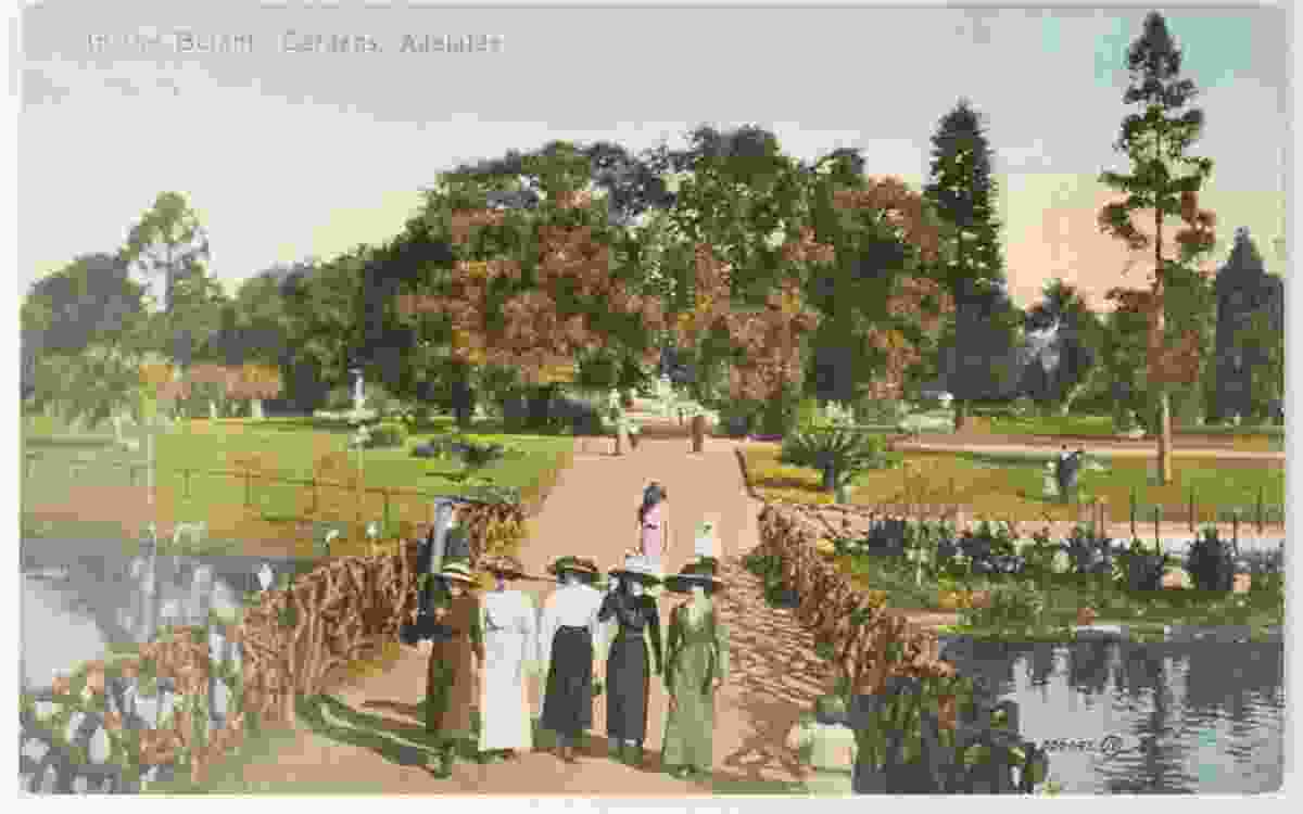 In the Botanic Gardens, Adelaide. 
Image courtesy of the Board of the Botanic Gardens and State Herbarium from a postcard reproduced in Tony Kanellos’ 2014 book Out of the past.