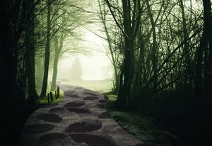 A carpet from the Dark Fairytales collection in a fairytale-like scene.