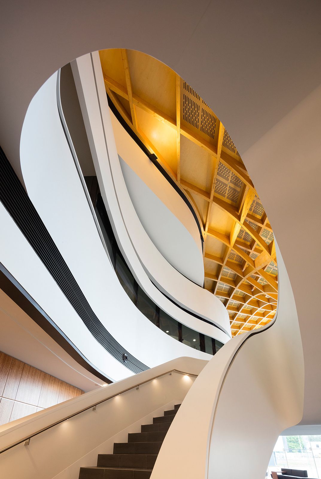 FJMT wins international design award with eagle-shaped cultural centre ...