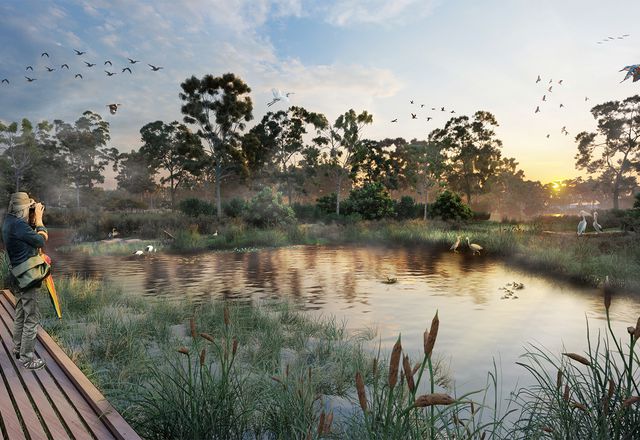 Key elements of the Elsternwick Park Nature Reserve masterplan include a "chain of ponds," woodlands and wetlands, a "conservation island," a look-out knoll and bird hides.