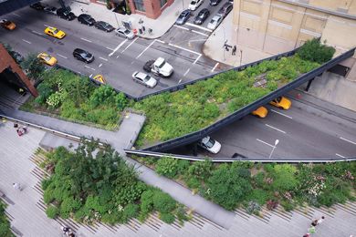 Due to their elevated nature, the High Line gardens must endure tough conditions, freezing more quickly and heating up more rapidly than other New York gardens.